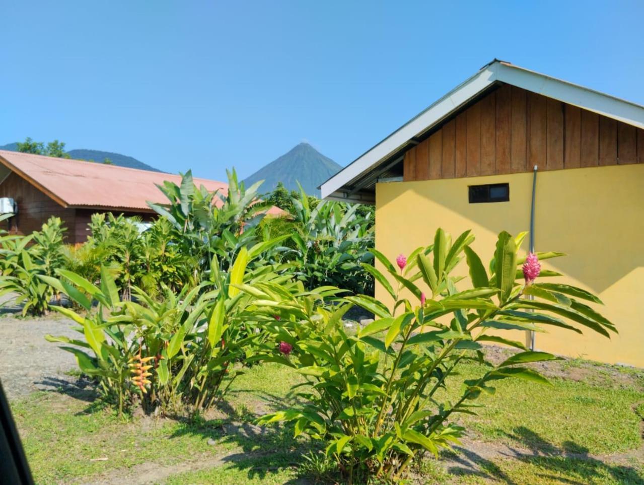 Cabana Rural Ave Del Paraiso La Fortuna ภายนอก รูปภาพ