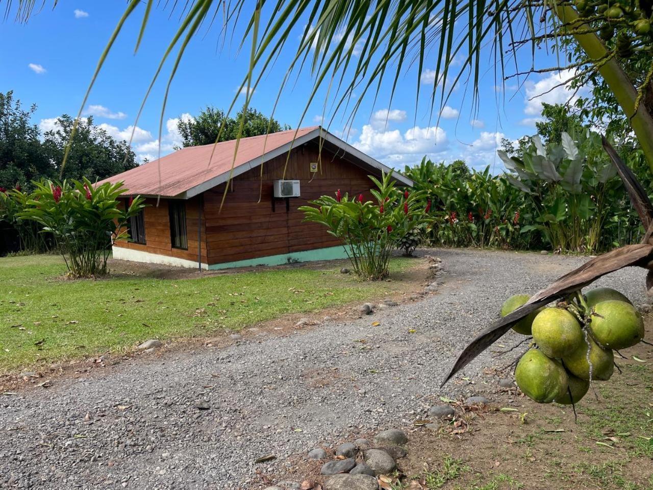 Cabana Rural Ave Del Paraiso La Fortuna ภายนอก รูปภาพ